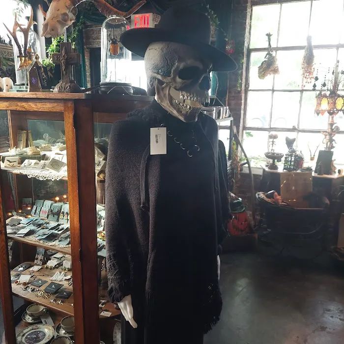 Black Veil Shoppe of Drear & Wonder 9