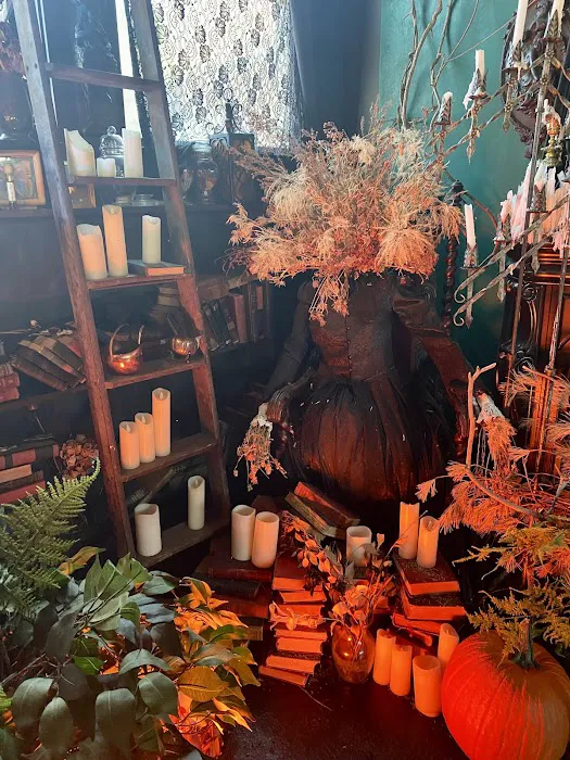 Black Veil Shoppe of Drear & Wonder 6