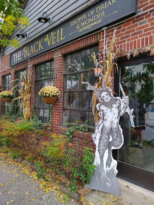 Black Veil Shoppe of Drear & Wonder 3