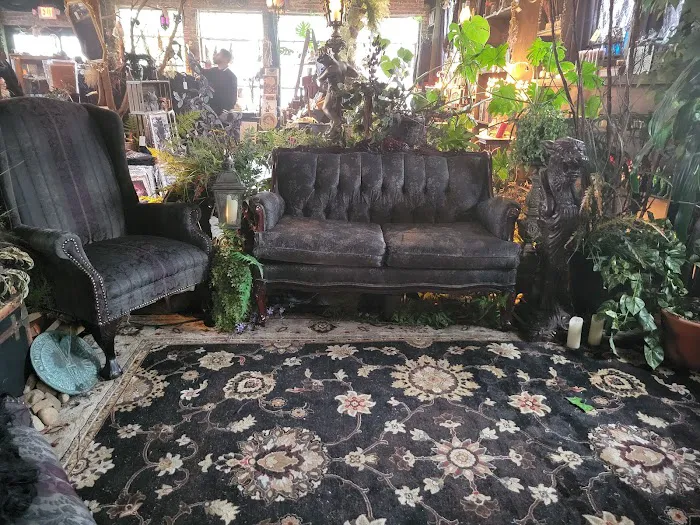 Black Veil Shoppe of Drear & Wonder 4