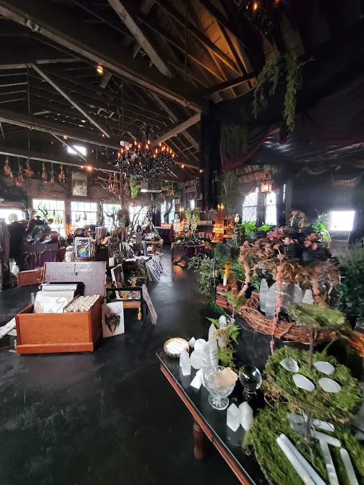 Black Veil Shoppe of Drear & Wonder 5