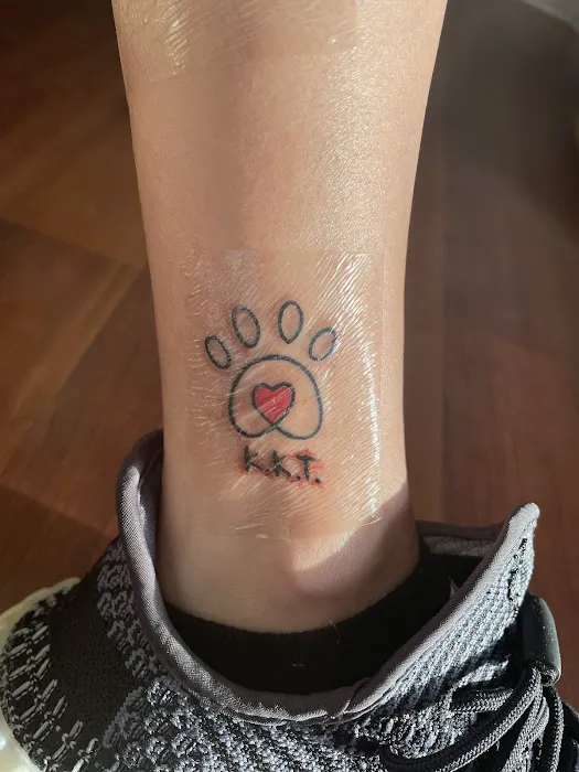 Omen Ink 5