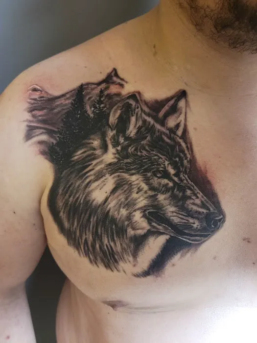 Fine Arts Tattoo & Gallery 3