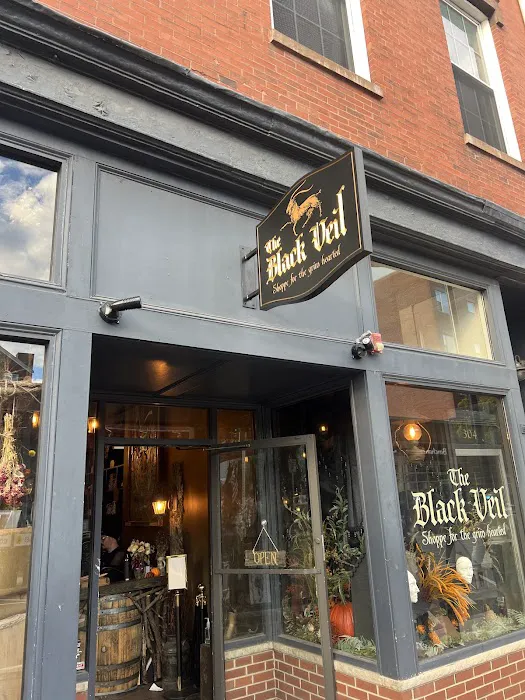 The Black Veil Shoppe for the Grim Hearted 3