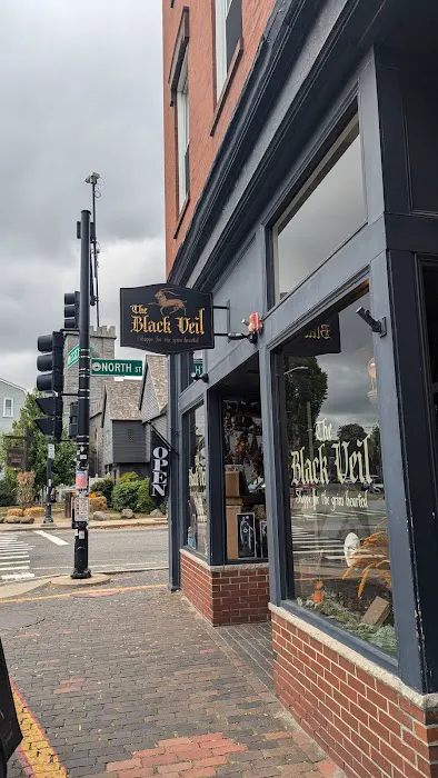 The Black Veil Shoppe for the Grim Hearted 2