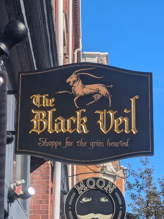 The Black Veil Shoppe for the Grim Hearted 5