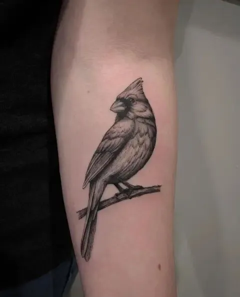 Enchanted Ink Tattoo Parlor 5