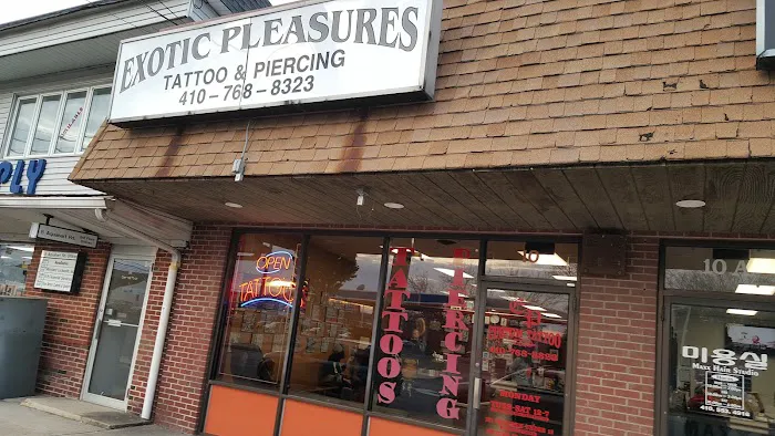 Exotic Pleasures Tattoo & Piercing 6