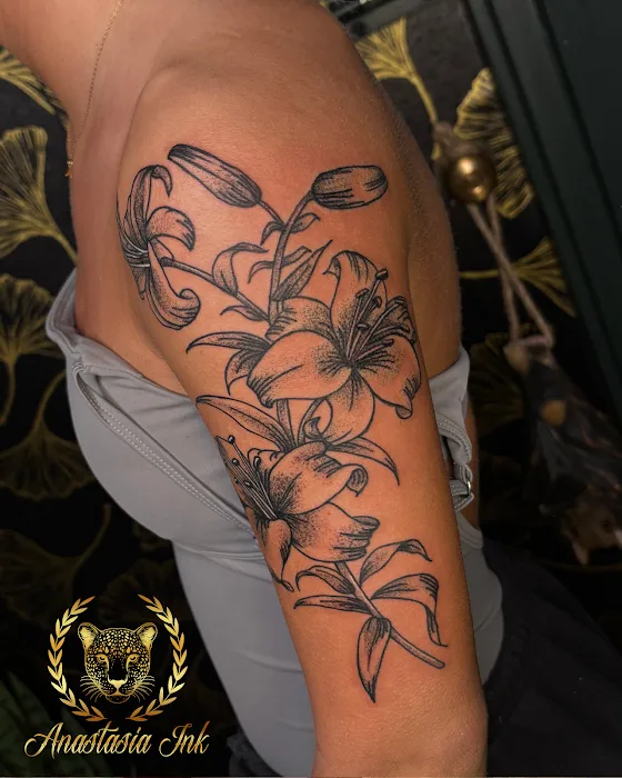 Anastasia Ink 5