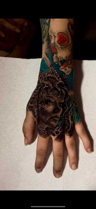 Ecolano Ink 3