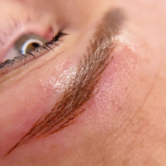 Yeksenia Santos Cosmetic Tattoo Artistry 8