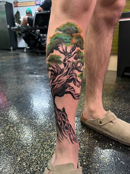 Golden Fleece Tattoo Studio 1