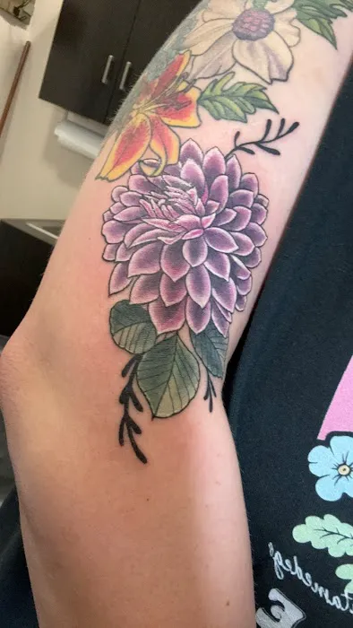 Grand Design Ink 0