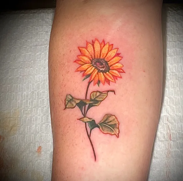 Grand Design Ink 5