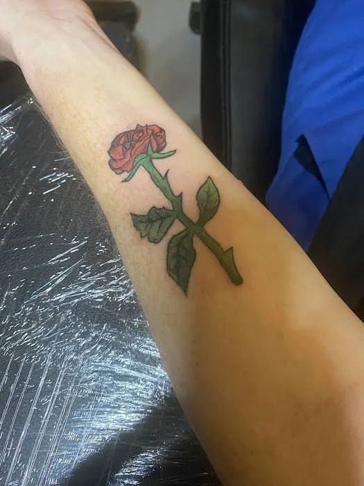 House of Ink Tattoo and Piercing 0