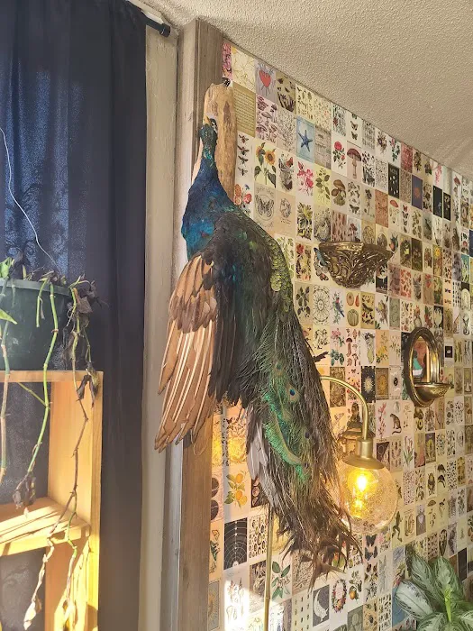 Bohemian Ink Studio 7