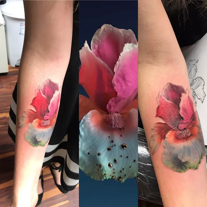 Platinum Koi Tattoo Studio 4