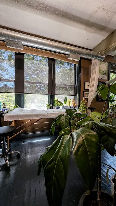 Pioneer Tattoo Studio 0