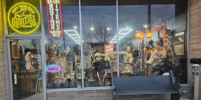 oddities appleton