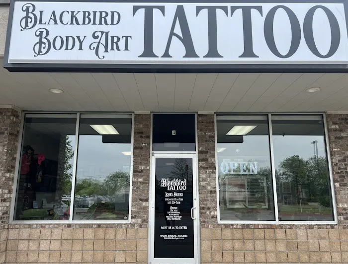 Blackbird Body Art Tattoo Studio 8