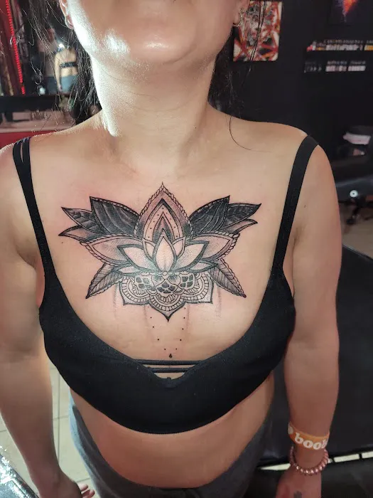 The Ink Spot 0