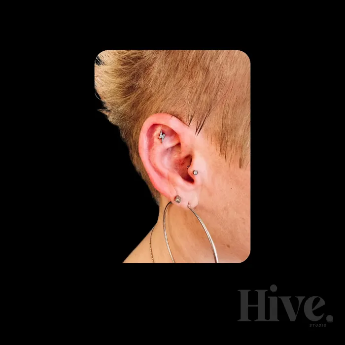 Hive Studio - By Appointment Only 0