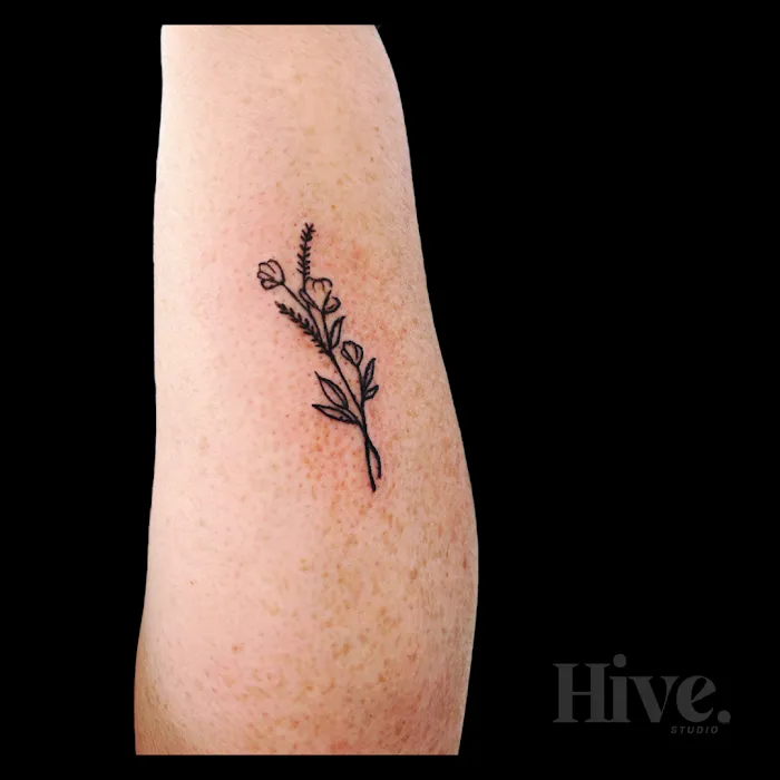 Hive Studio - By Appointment Only 4