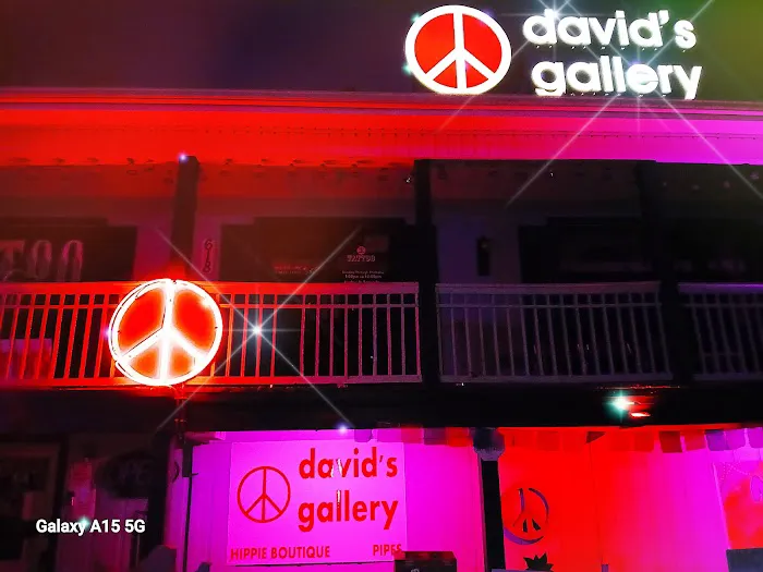 David's Gallery 7