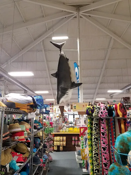 Souvenir City of Orange Beach 4