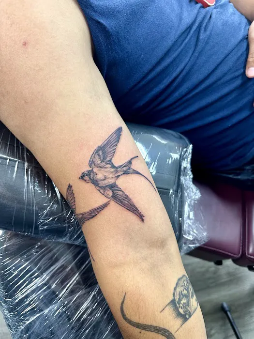 Blue Blood Tattoo Studio 2