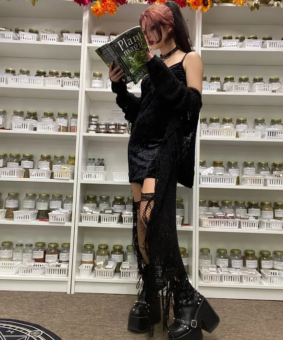 Sisi's Store Sucks ! - Alternative Store & The Witchy Side in Pensacola 5