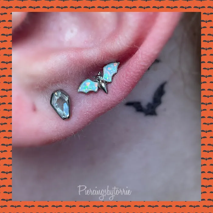 Piercings by Torrie 2