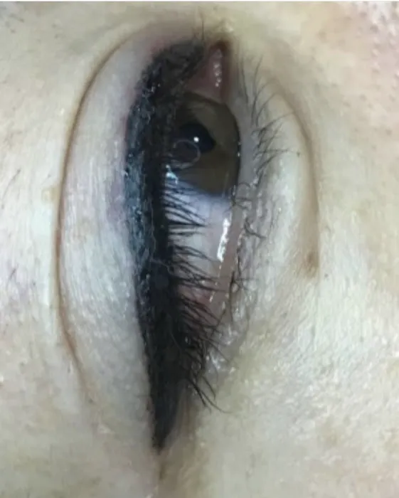 War Paint Permanent Makeup, LLC. 2