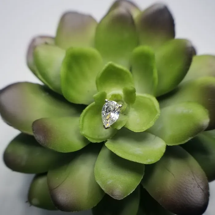 Deja Vu Piercing Studio 1