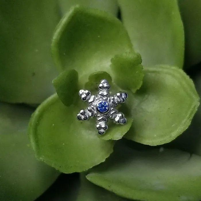 Deja Vu Piercing Studio 7