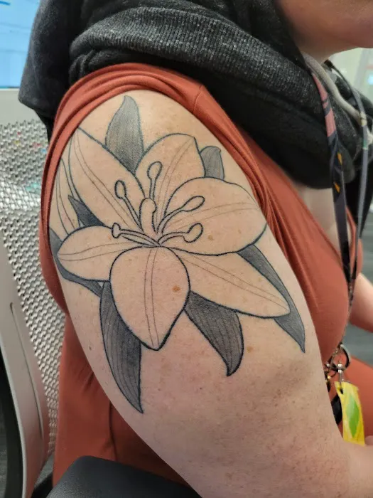 Envy Skin Gallery Tattoo Studio - No piercings 2