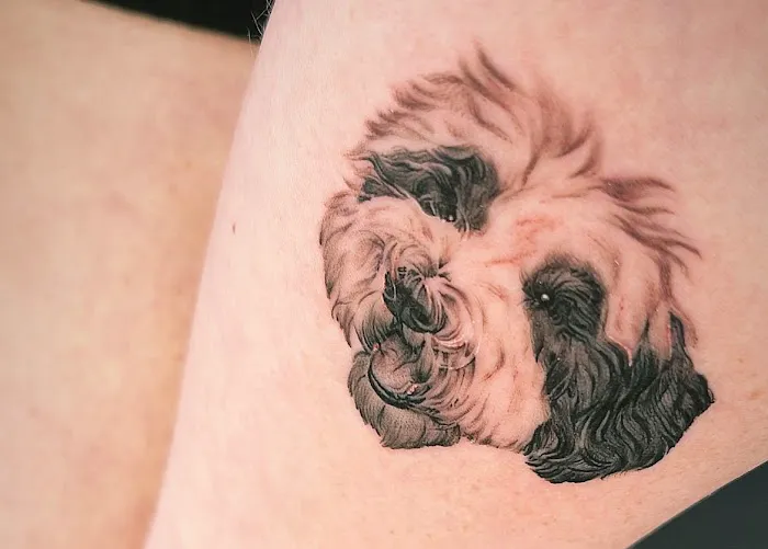 SOMA TATTOO STUDIO 0