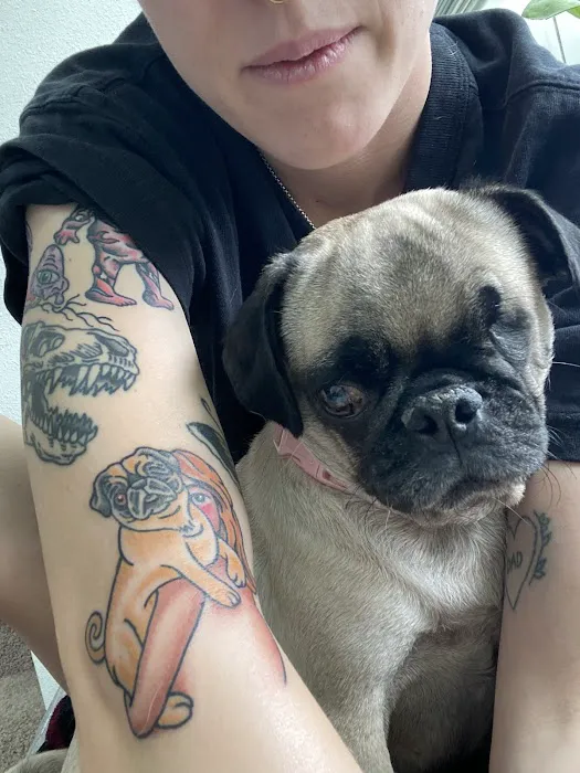 Primrose Tattoo Parlor 8