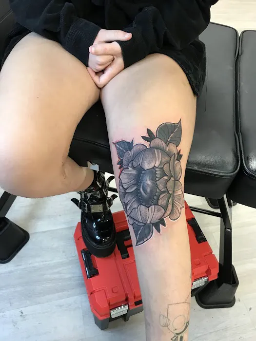 Age of Ink 4