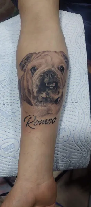 dali.tatto 0