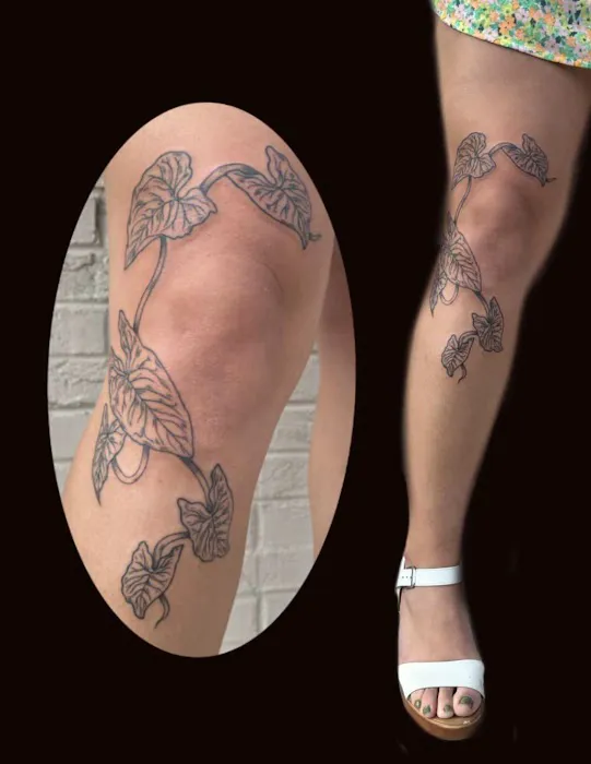 VERBENA INK LLC 2