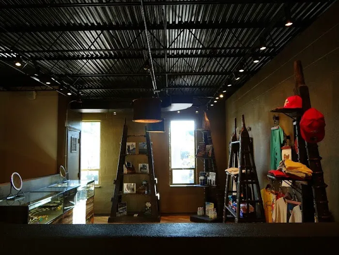 Certified Tattoo Studios 6