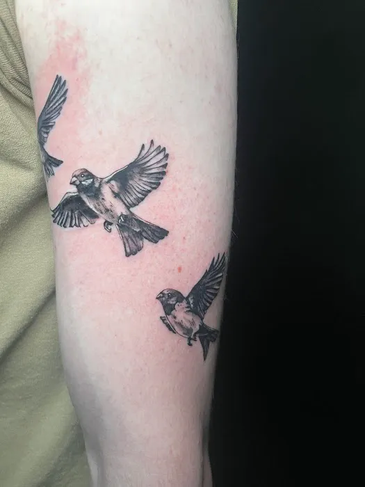 Certified Tattoo Studios 0