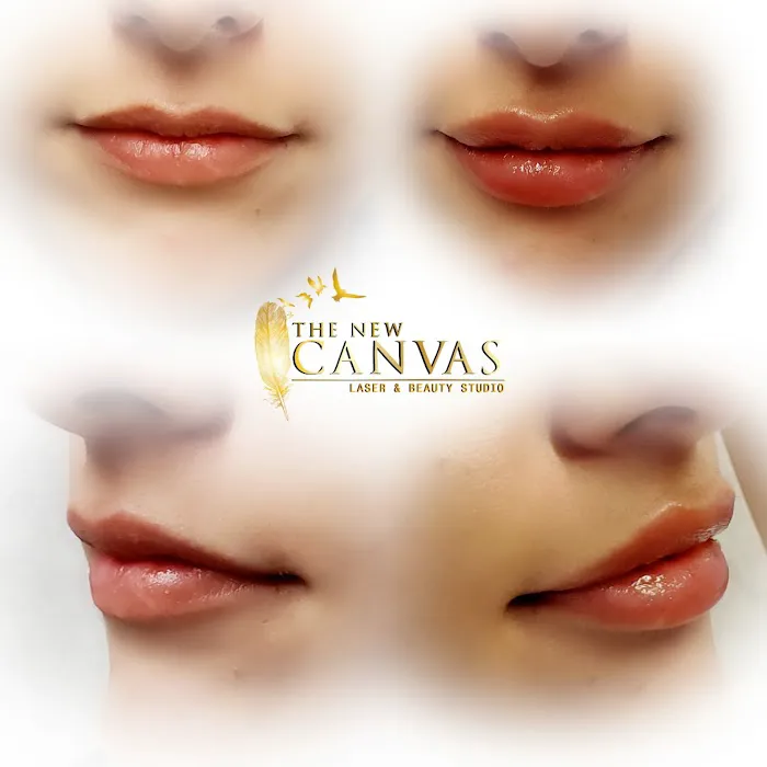 The New Canvas 5