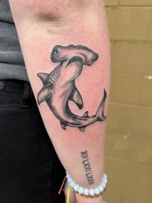Sphynx Ink Tattoo 2
