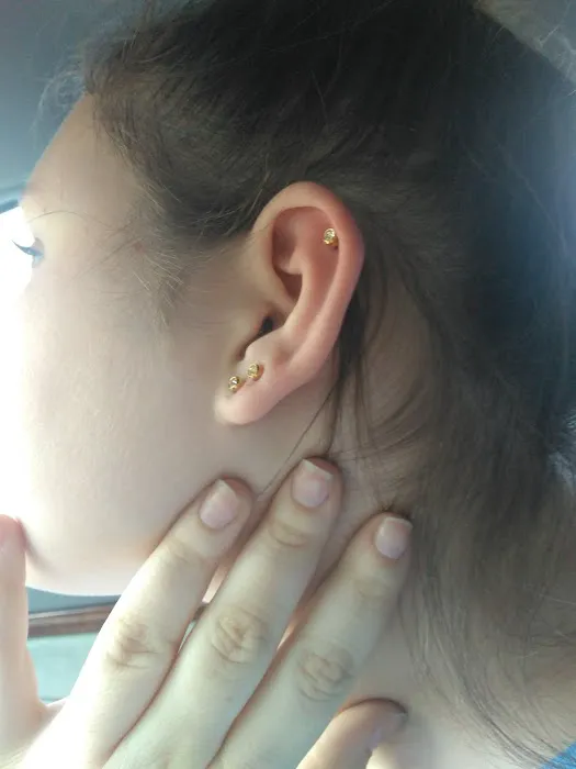 Tattoo The Vault Piercing Jewelry 1