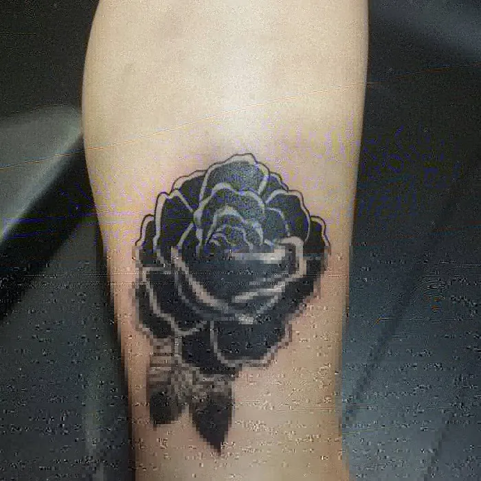 The Salty Rose Tattoo 7