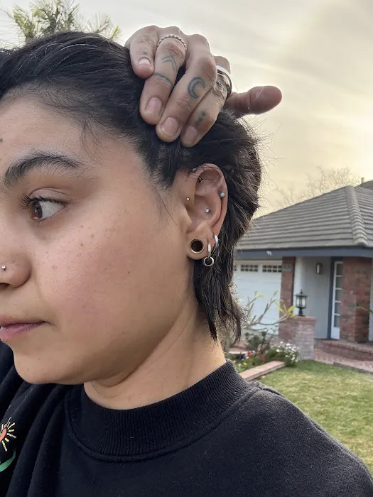 Sharkbite Piercings 7