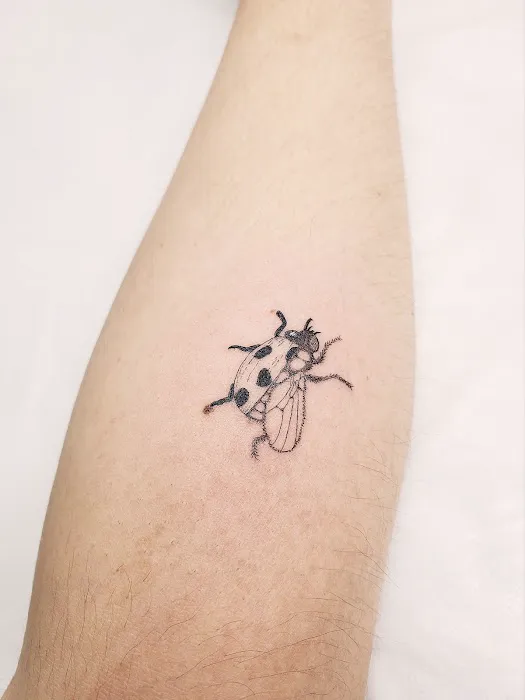 Tonna Sky Ink 6