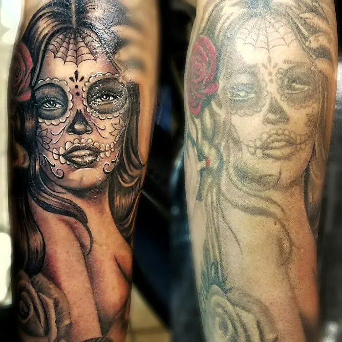 Pharos Ink 5